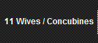11 Wives / Concubines