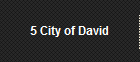 5 City of David