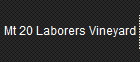Mt 20 Laborers Vineyard