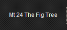 Mt 24 The Fig Tree