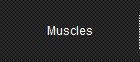 Muscles