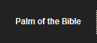 Palm of the Bible