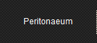 Peritonaeum