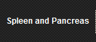 Spleen and Pancreas