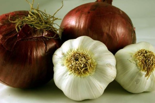 garlic-onions1_500_334