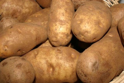 potato1_500_334